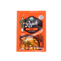 Robertsons Rajah Curry Powder - Hot Sachet 7g